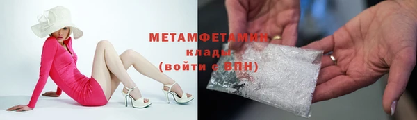 ГАЛЛЮЦИНОГЕННЫЕ ГРИБЫ Верея